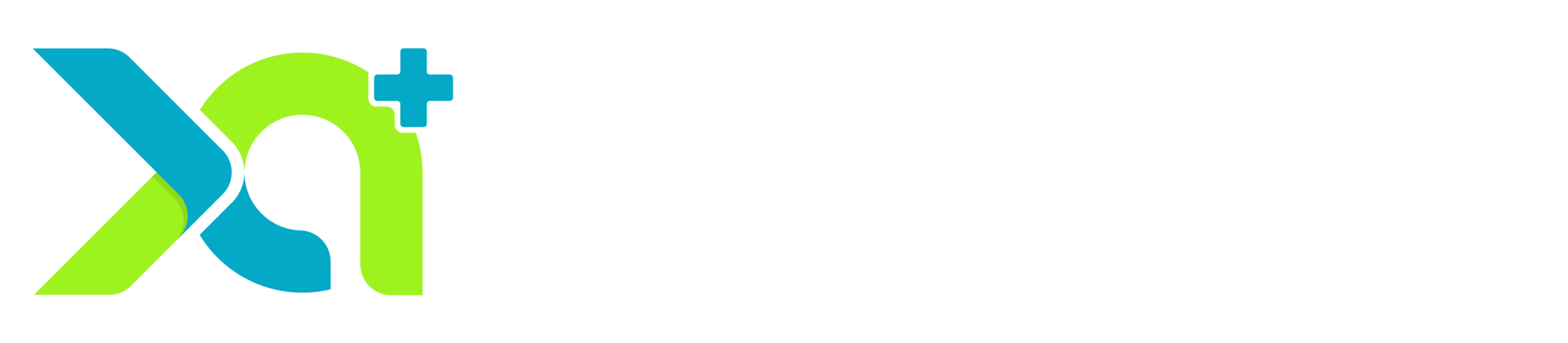 2024 Logo PermaxArt Horizontal - Dark
